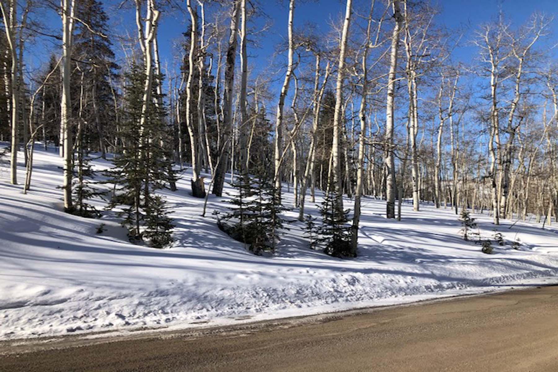 Tbd Wapiti Road Telluride, CO 81435 - Photo 10 of 12 a view of a park with a bench