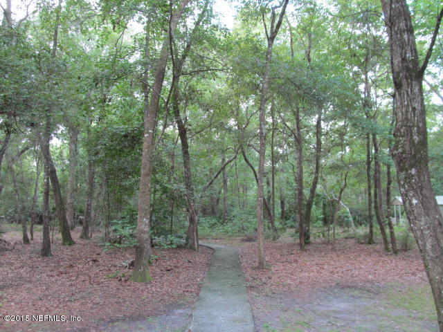 86385 Meadowfield Bluffs Road Yulee, FL 32097 - Photo 6 of 33 Backyard