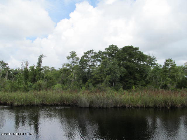 86385 Meadowfield Bluffs Road Yulee, FL 32097 - Photo 9 of 33 Marsh