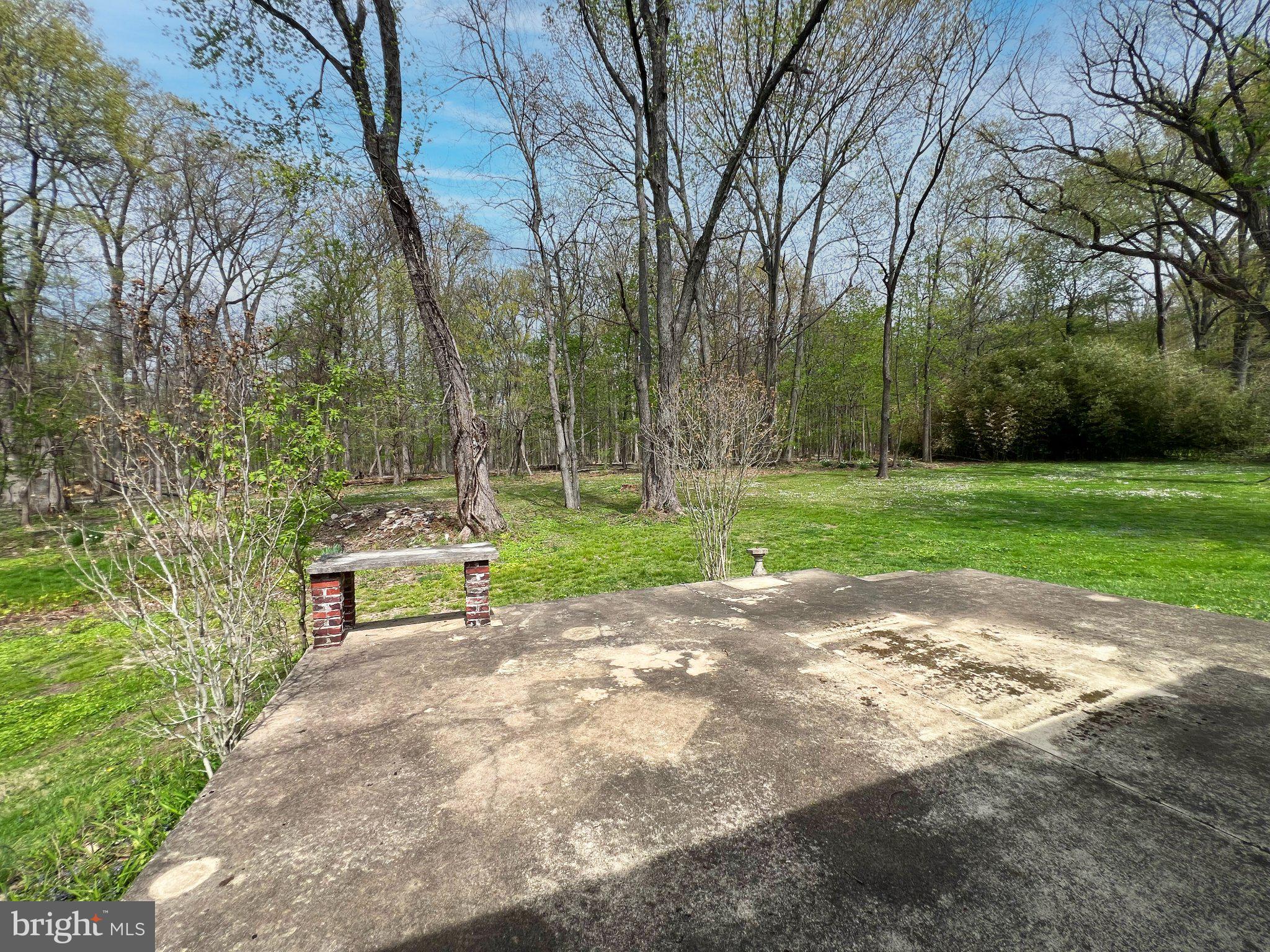 1545 Almshouse Road Jamison, PA 18929 - Photo 12 of 30 a view of a park with large trees