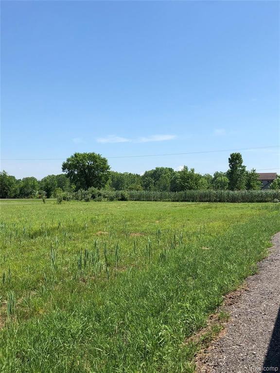 0 Short Cut Road Marine City, MI 48039 - Photo 3 of 7 Gallery Image 3