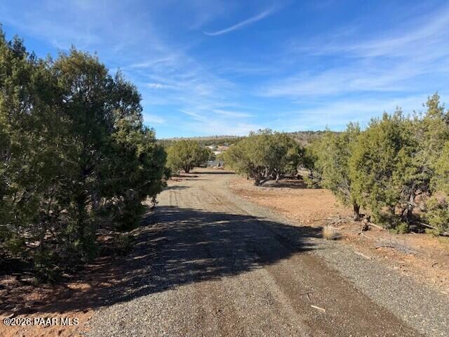 0 Whiskey Ridge Road Prescott, AZ 86305 - Photo 26 of 33 a view of dirt yard with a large tree