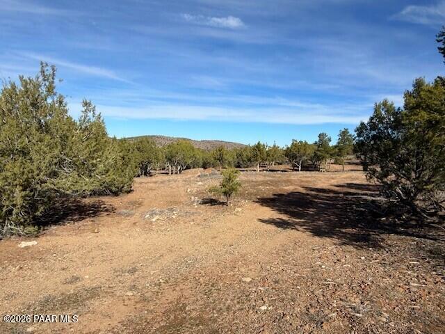 0 Whiskey Ridge Road Prescott, AZ 86305 - Photo 28 of 33 a view of a dirt road with trees in the background