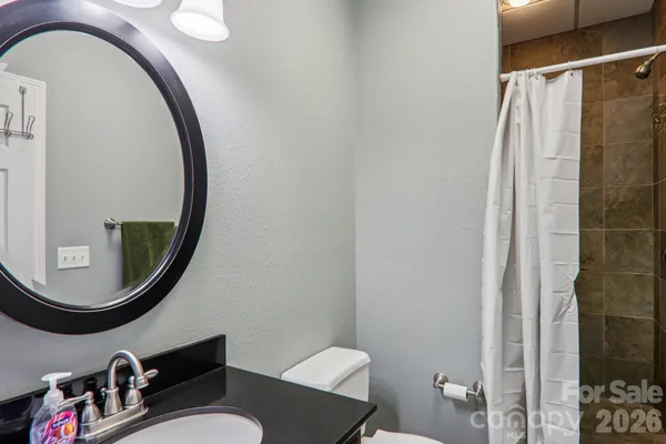 a bathroom with a sink a mirror and a toilet