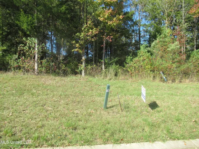 $75,000 | Brents Crossing, Clinton, MS 39056