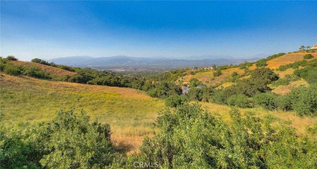 19759 Alpine Crest Road Walnut, CA 91789 - Photo 62 of 71