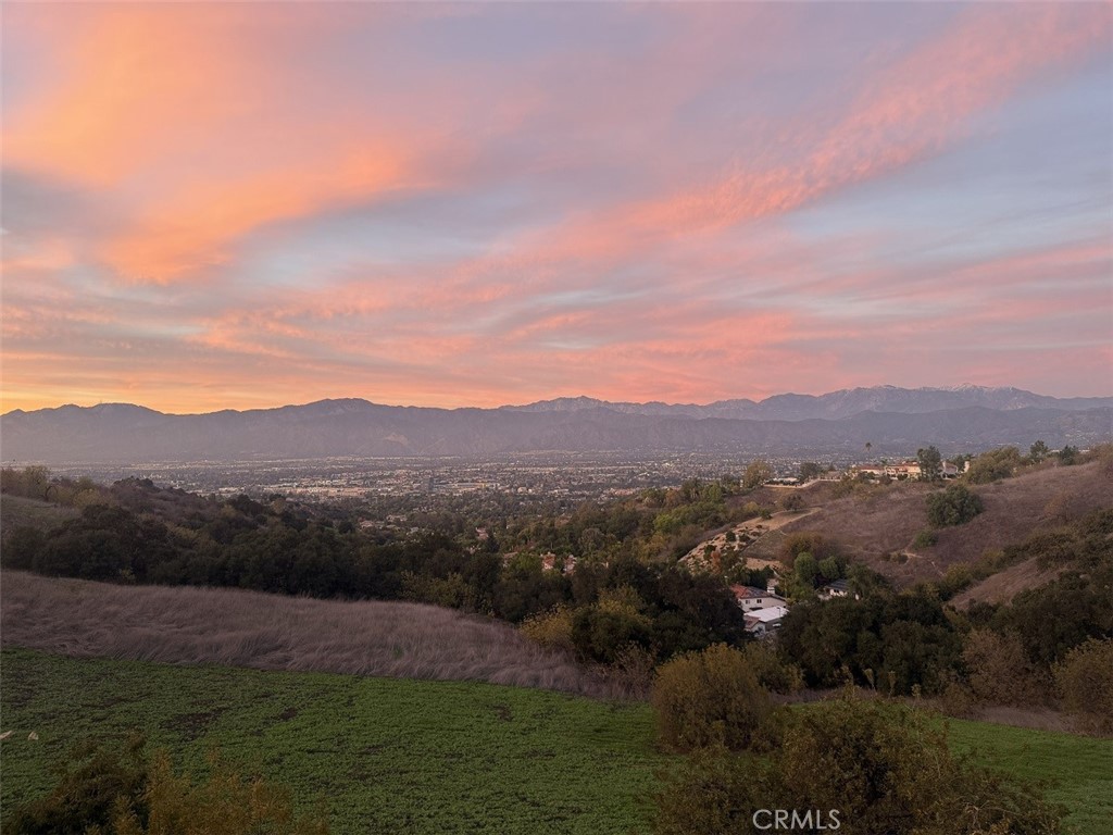 19759 Alpine Crest Road Walnut, CA 91789 - Photo 68 of 71