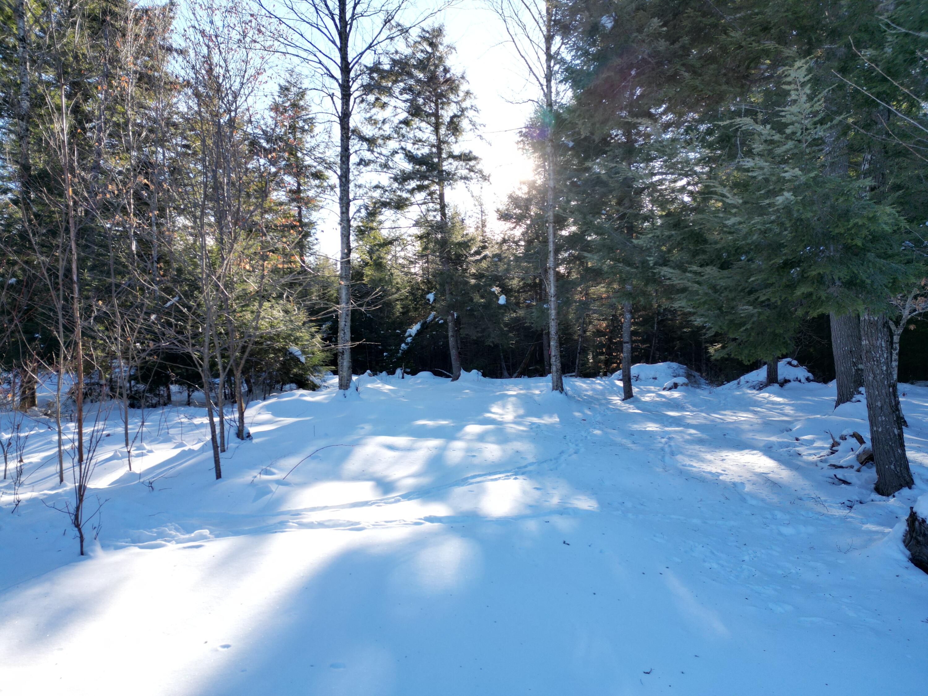 31 Timberview Drive Burlington, ME 04417 - Photo 12 of 13 DJI_0055