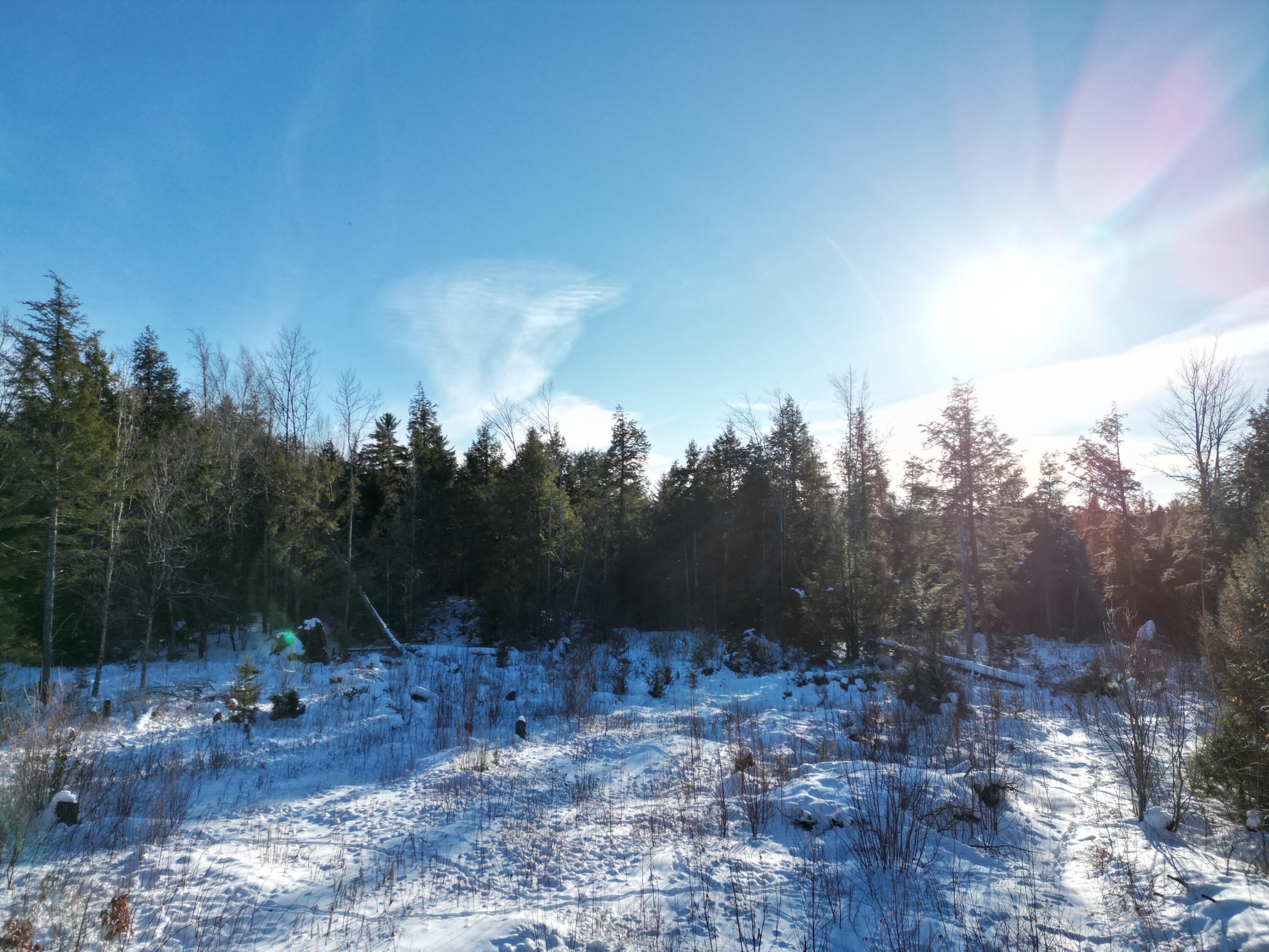 31 Timberview Drive Burlington, ME 04417 - Photo 7 of 13 DJI_0050