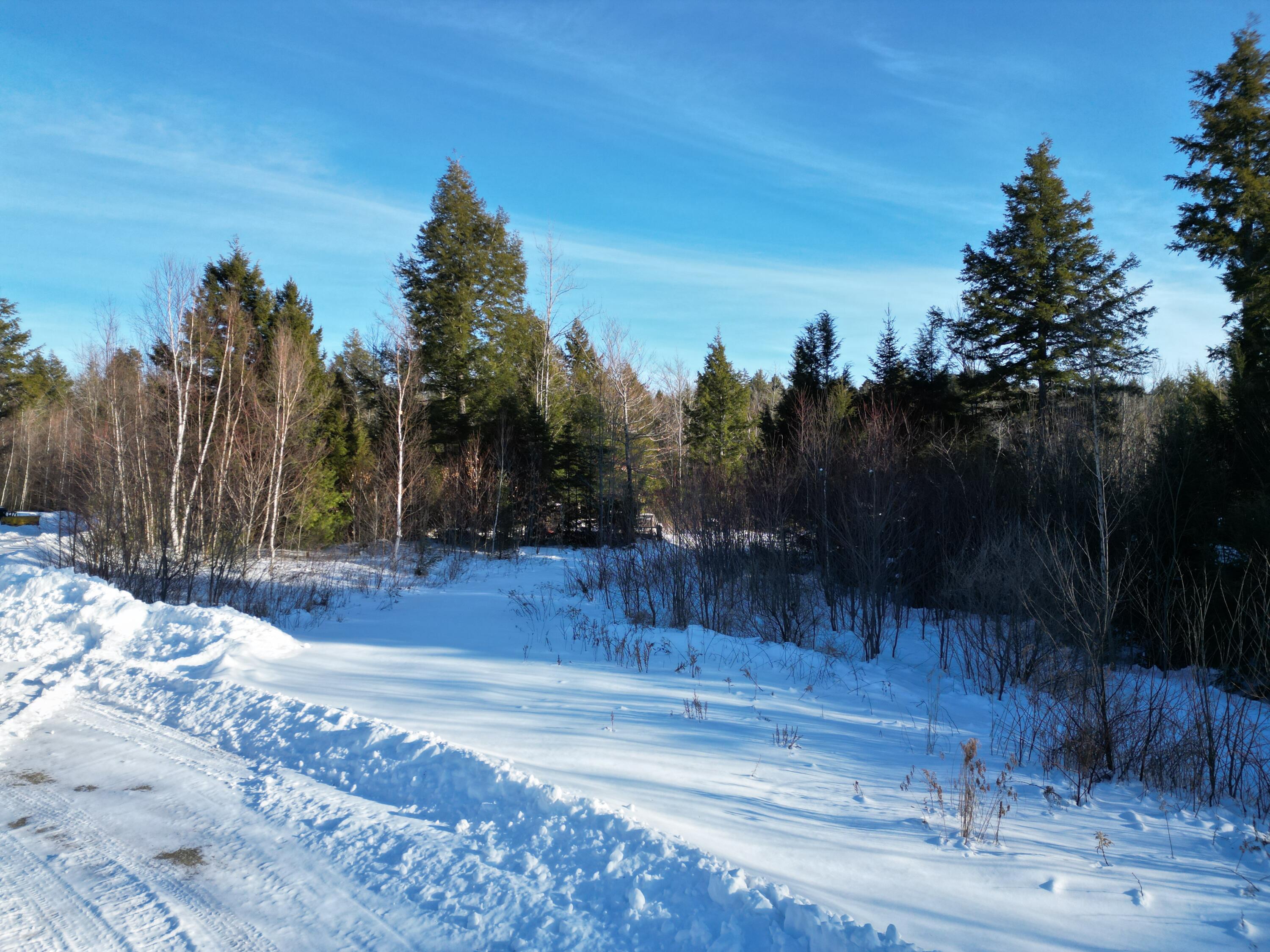 31 Timberview Drive Burlington, ME 04417 - Photo 10 of 13 DJI_0053