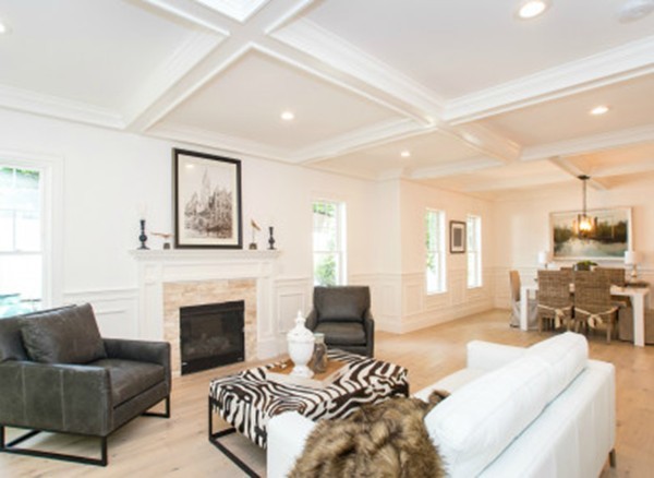 12 Suban Place, Unit 2 Newton, MA 02461 - Photo 4 of 13 a living room with furniture a fireplace and a flat screen tv