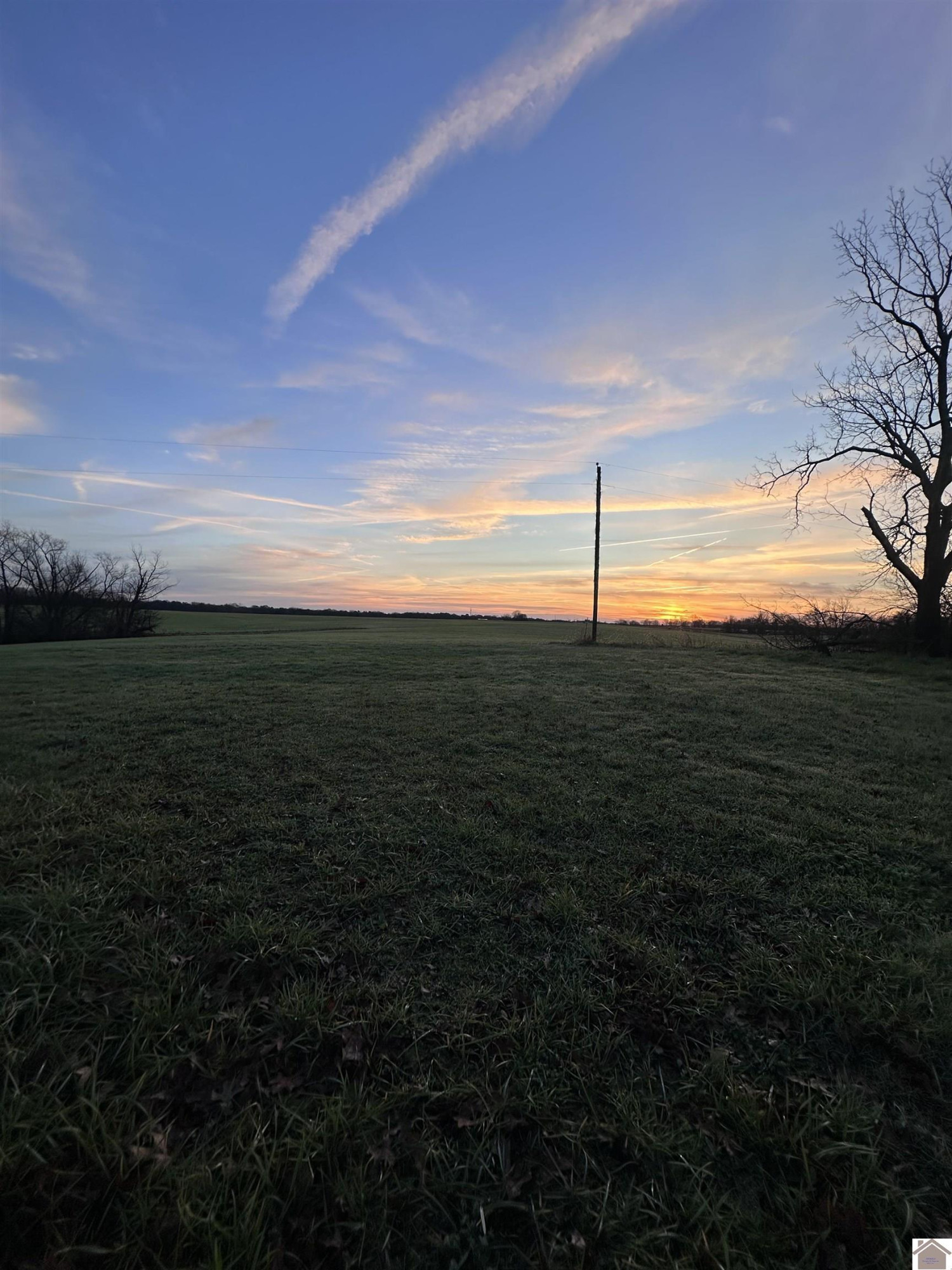 2 Elm Grove Road Almo, KY 42020 - Photo 7 of 8 Photo 8
