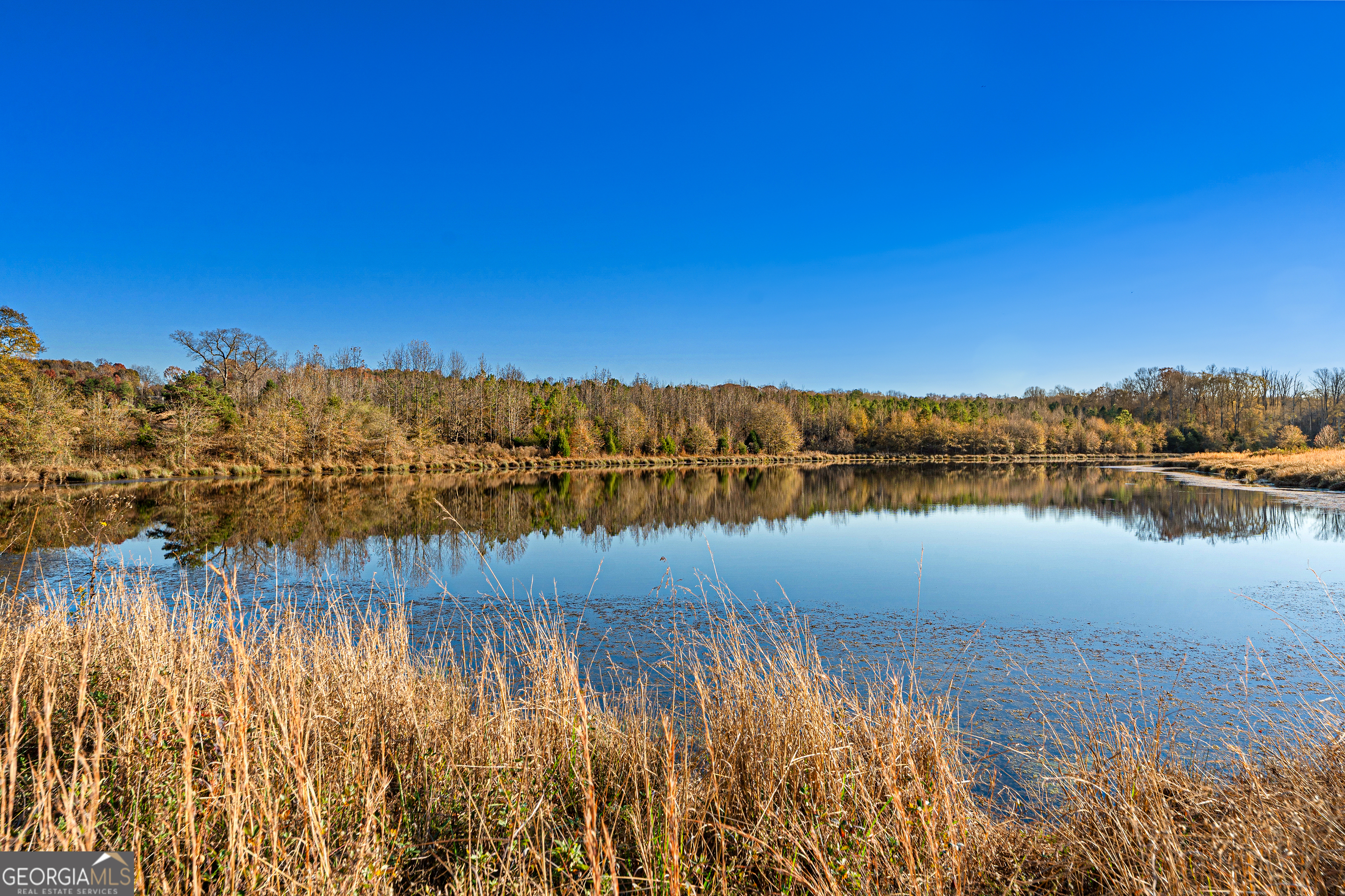 2 Legacy View Hartwell, GA 30643 - Photo 6 of 12