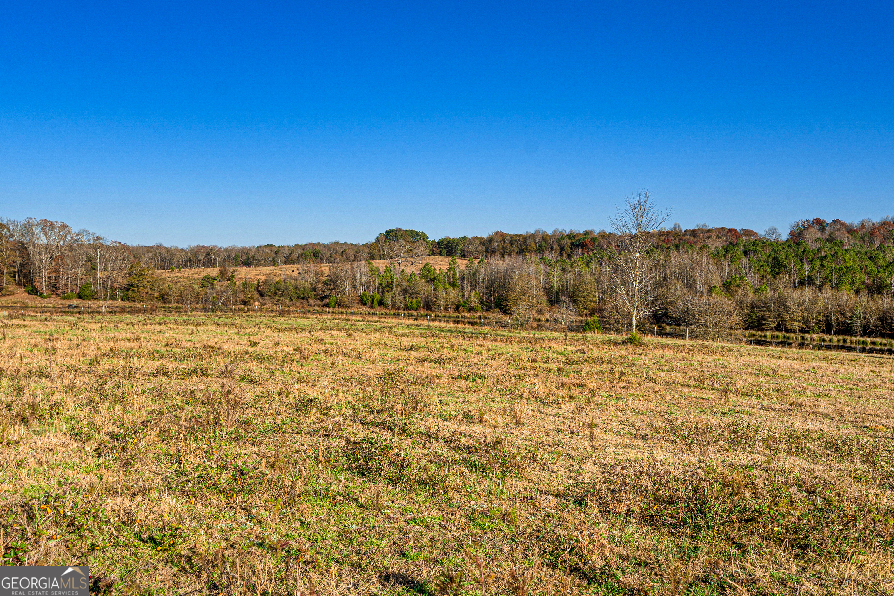 2 Legacy View Hartwell, GA 30643 - Photo 8 of 12