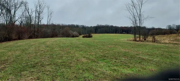 $119,900 | Vl Warner Gulf Road, Holland, NY 14080