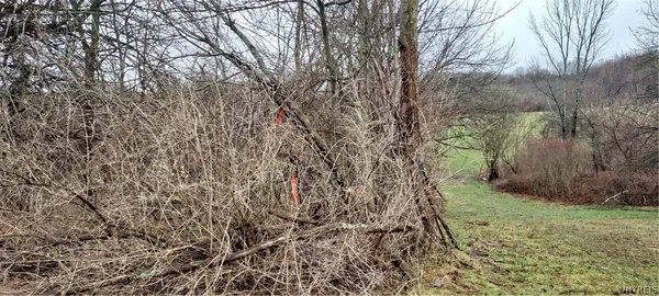 $119,900 | Vl Warner Gulf Road, Holland, NY 14080