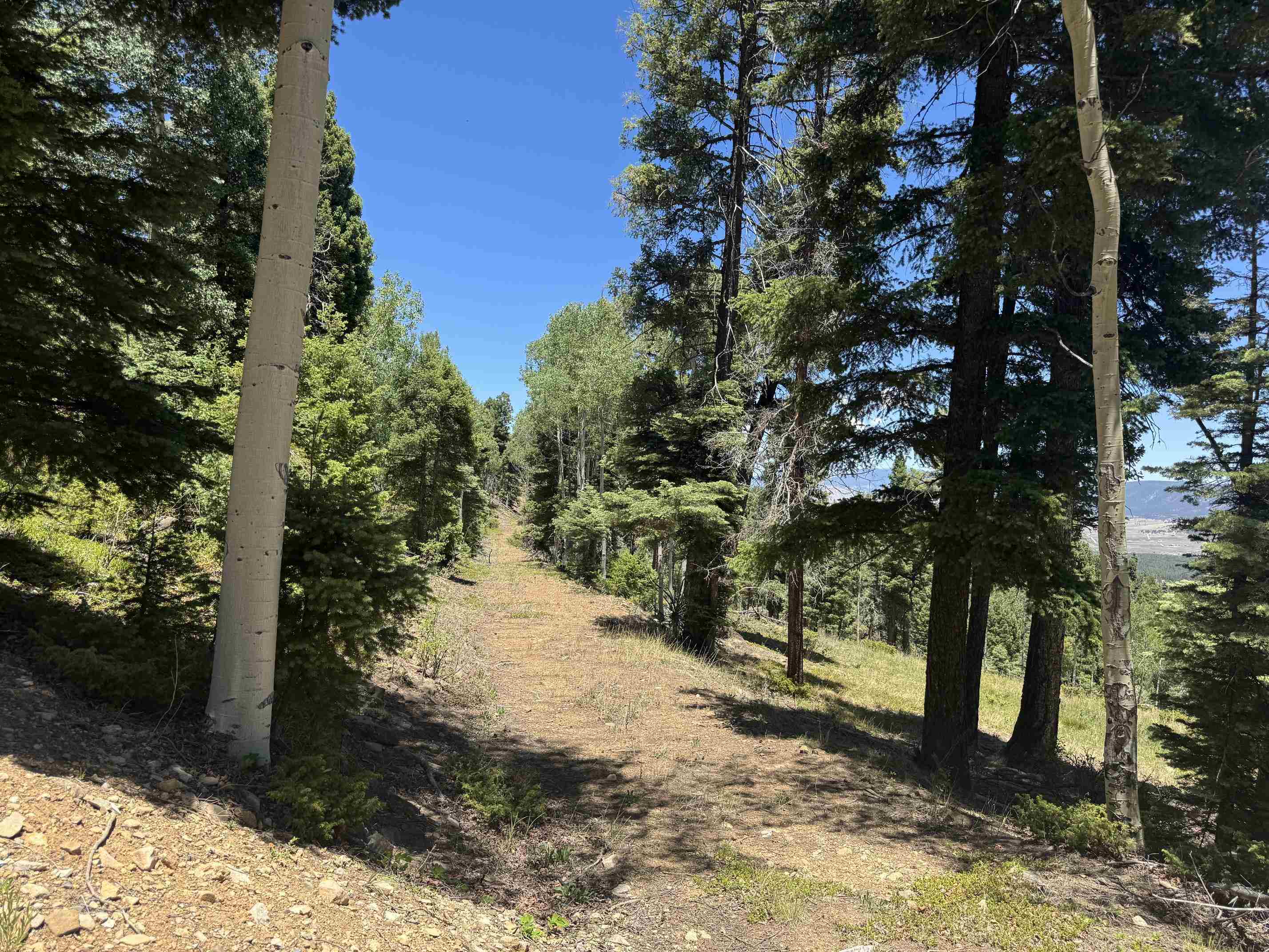 Lot 106 Zia Road Angel Fire, NM 87710 - Photo 16 of 23 Gallery Image 16
