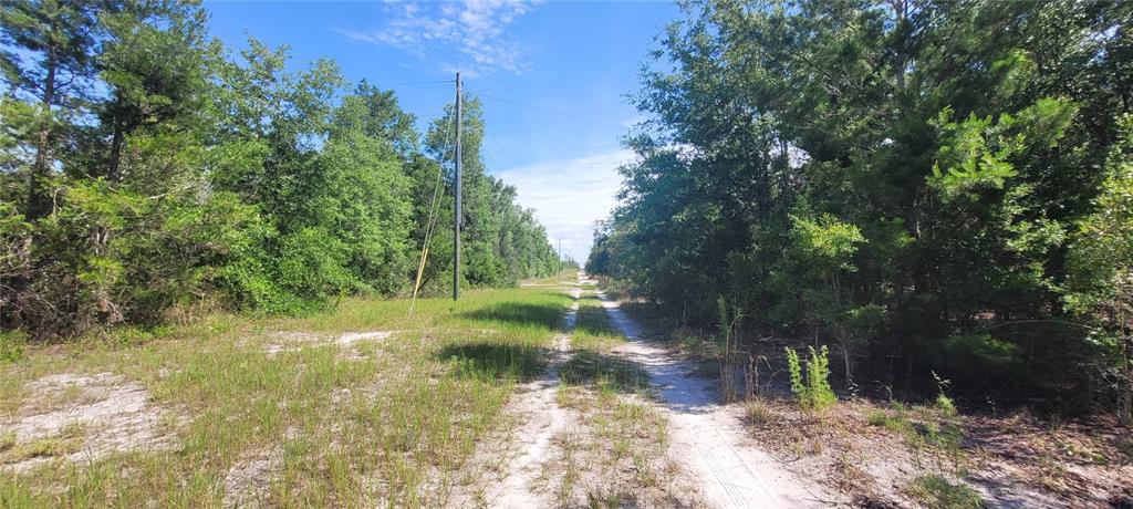 Union Way Lee, FL 32059 - Photo 11 of 15