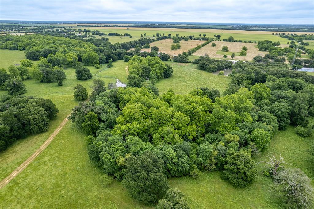 5286 County Road 4502 Commerce, TX 75428 - Photo 13 of 21 a view of a lush green forest with lots of trees