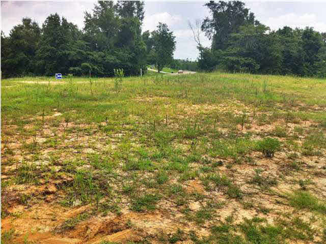 0 Old Pearson Road Pearl, MS 39218 - Photo 2 of 2 0 Old Pearson Rd.