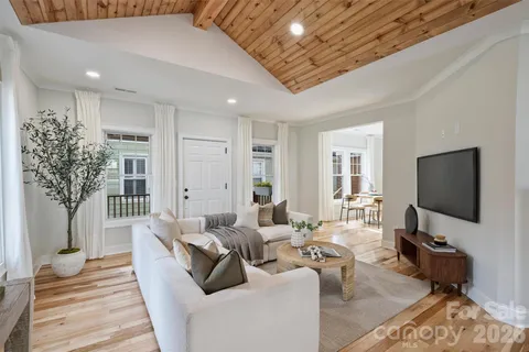 a living room with furniture a flat screen tv and a potted plant