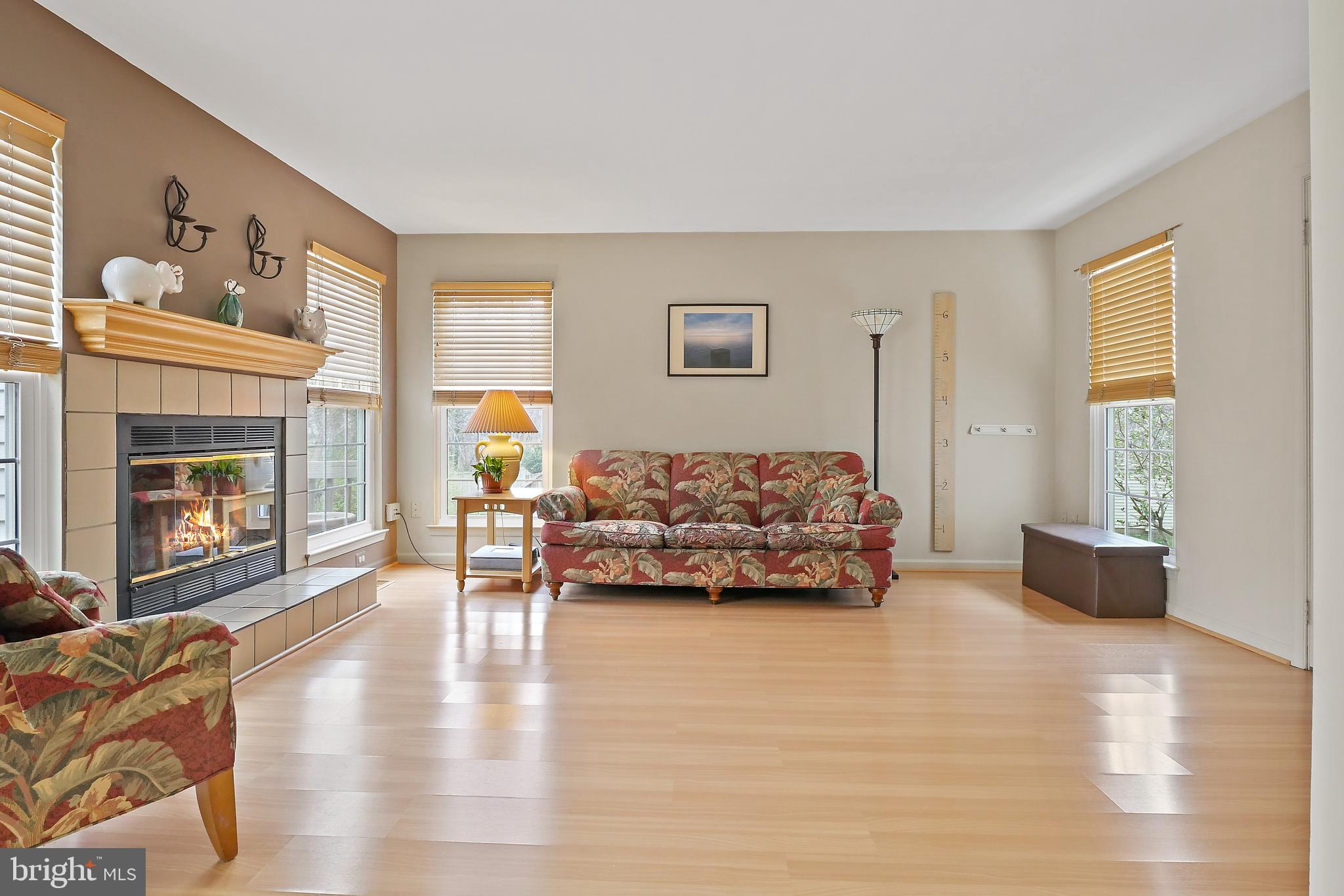 6175 Stonepath Circle Centreville, VA 20120 - Photo 14 of 33 Living Room