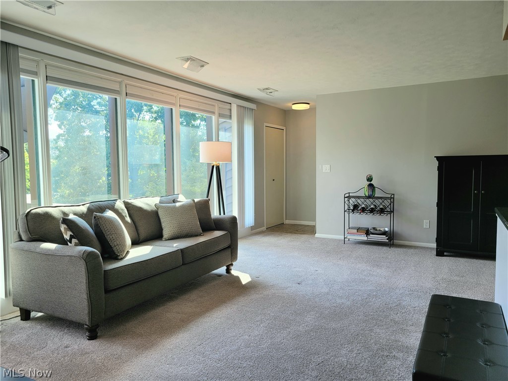 985 Canyon View Road, Unit 202B Northfield, OH 44067 - Photo 4 of 29 Wall Of Windows streams in Natural Light