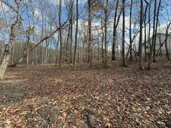 a view of outdoor space with trees