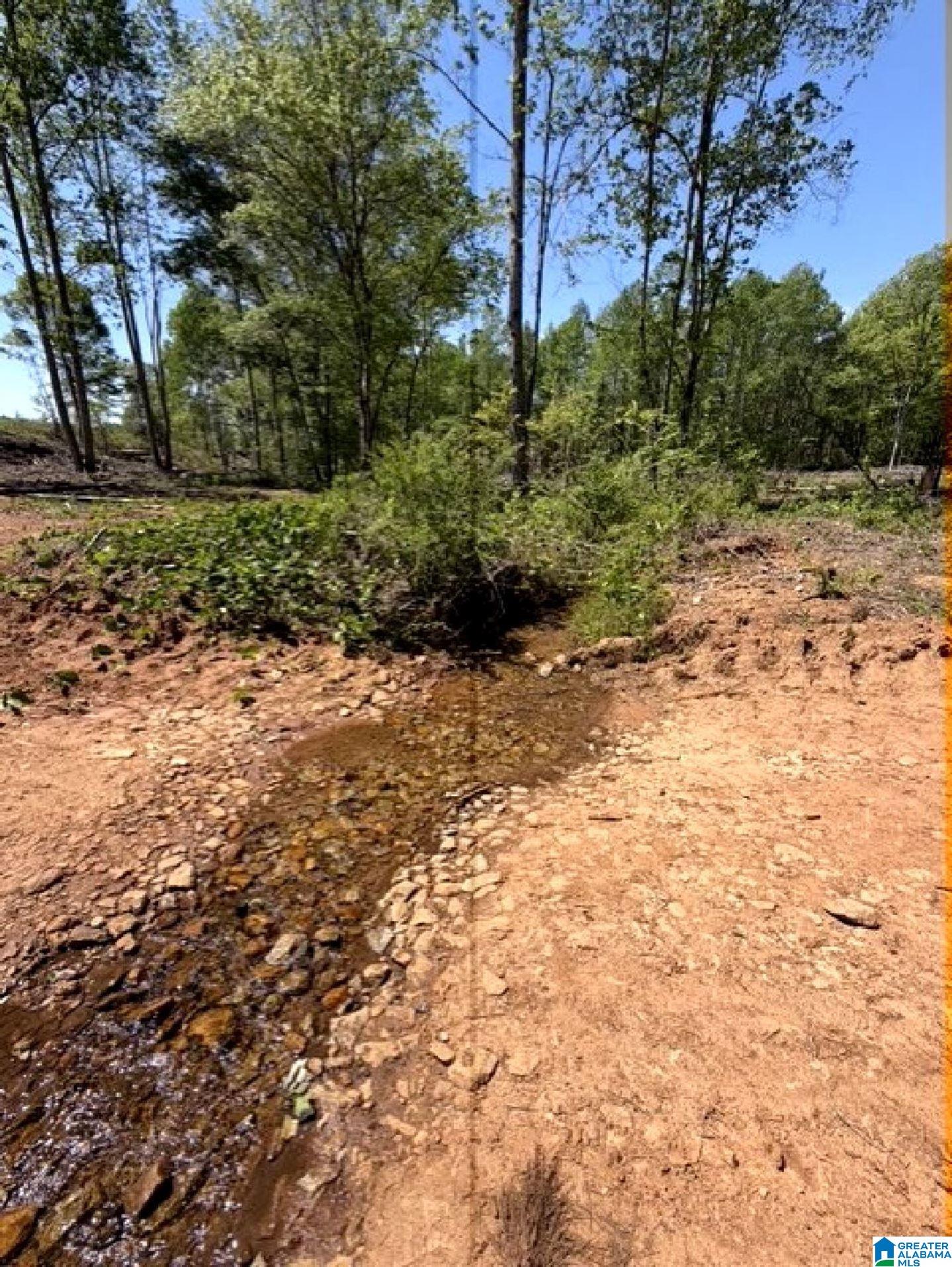 Mines Road, Unit 218 Talladega, AL 35160 - Photo 11 of 21 Gallery Image 11