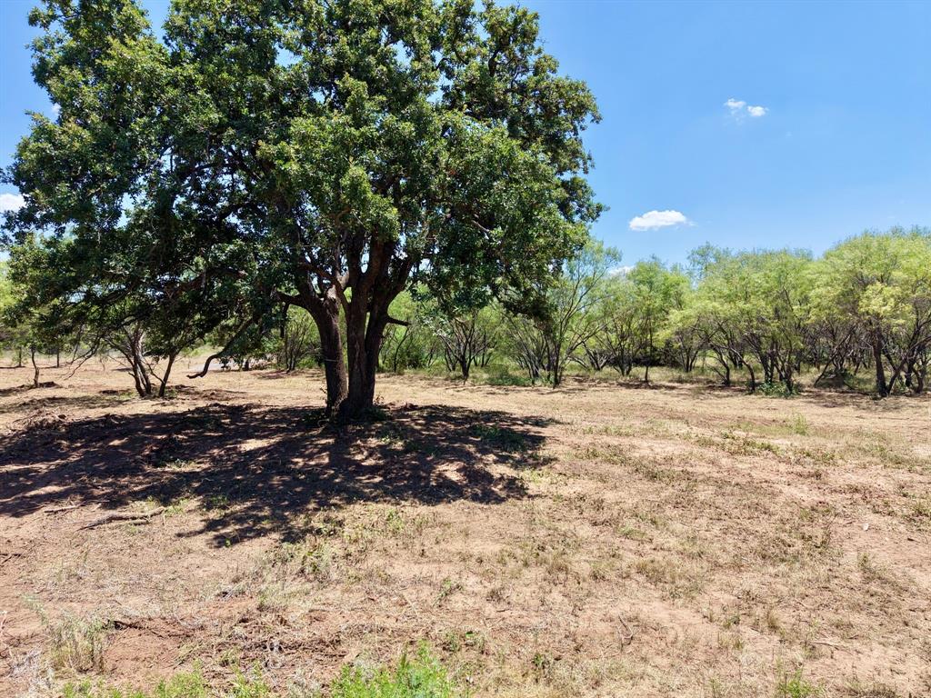 340 Ranger Tx 76470 Ranger, TX 76470 - Photo 7 of 14 Gallery Image 7