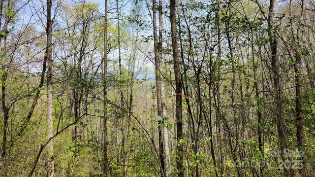 $65,000 | 30 Lacy Fern Ridge, Unit 30, Sylva, NC 28779