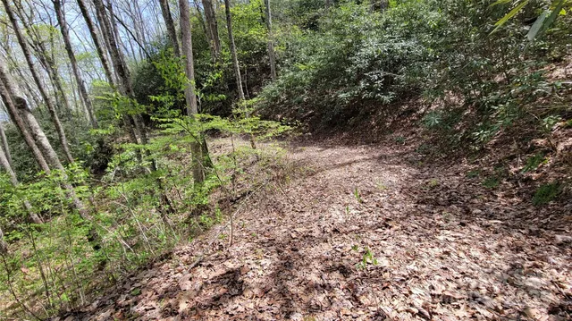 $65,000 | 30 Lacy Fern Ridge, Unit 30, Sylva, NC 28779