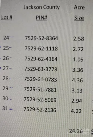 a view of a forest that has a tree