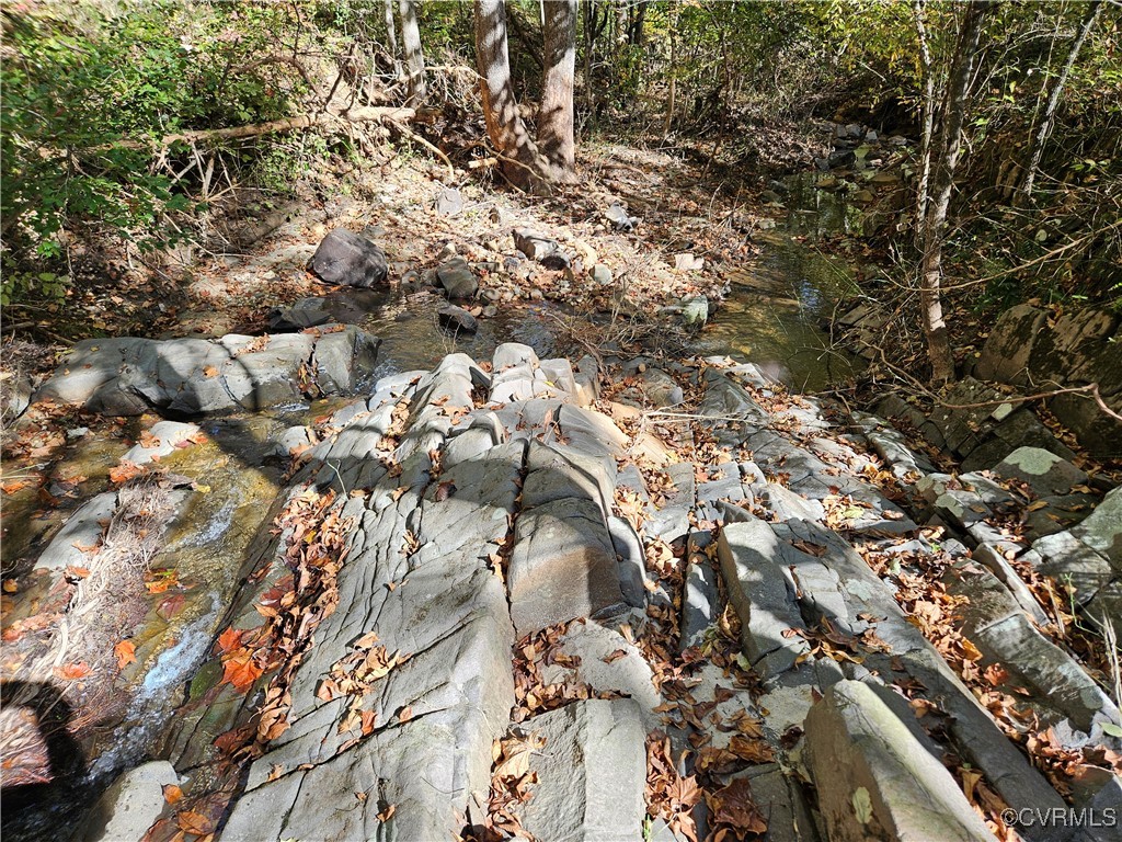 120.9-ac Back Mountain Road Dillwyn, VA 23936 - Photo 7 of 39