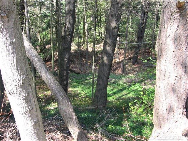 2450 South Lakeshore Road Applegate, MI 48401 - Photo 27 of 28 31365528-26.JPG