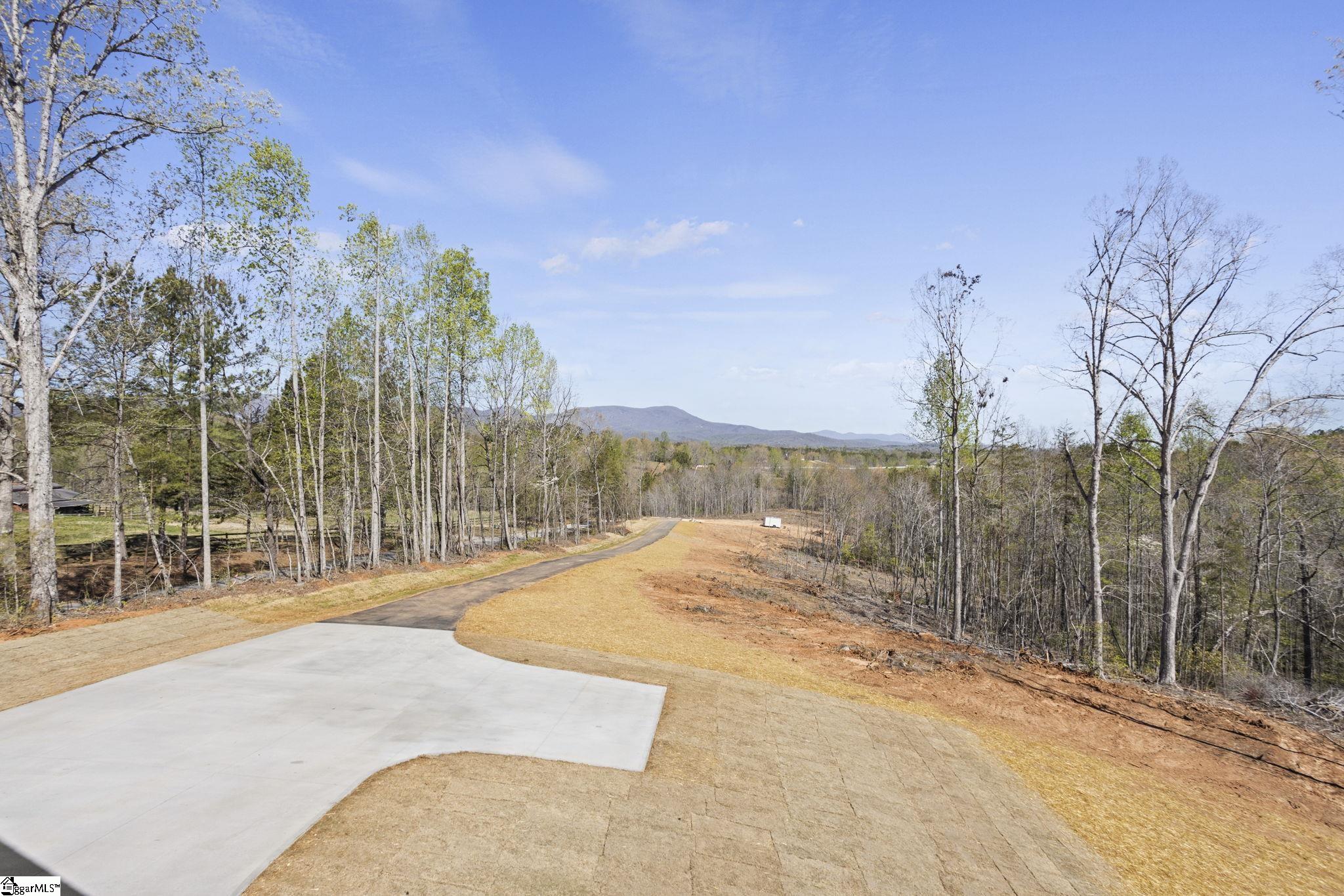 4495 Hawkins Road Greer, SC 29651 - Photo 2 of 45