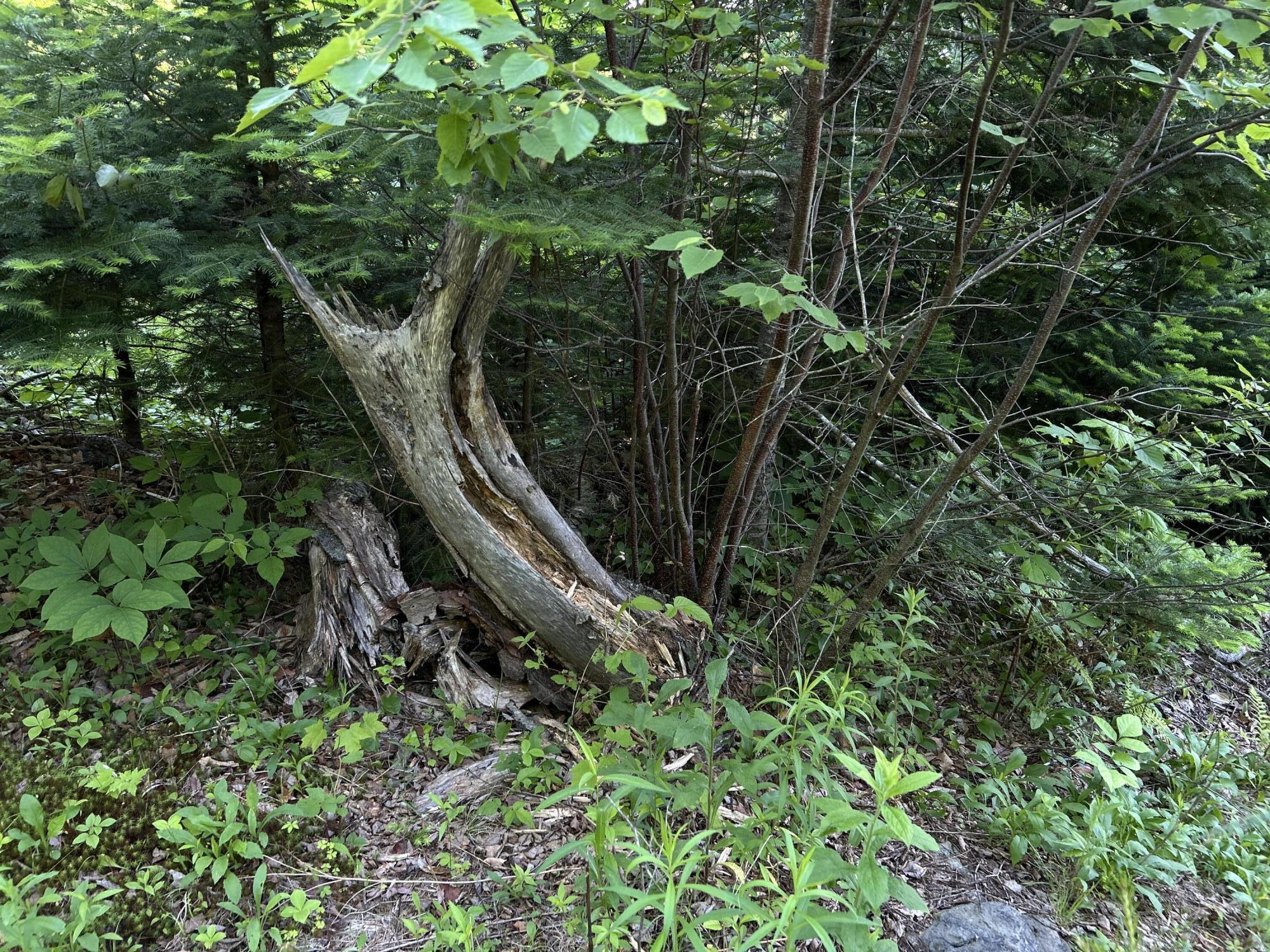 M4-l19 Village Road Jackson, ME 04921 - Photo 24 of 28 IMG_4801