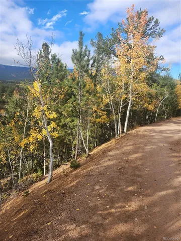 a view of outdoor space and trees