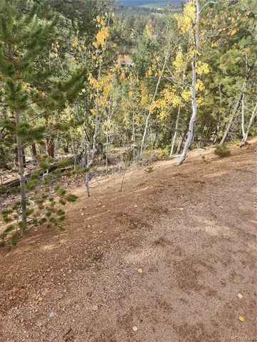a view of yard with large trees