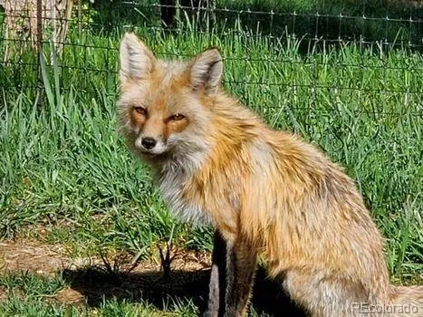 a view of a bird bath