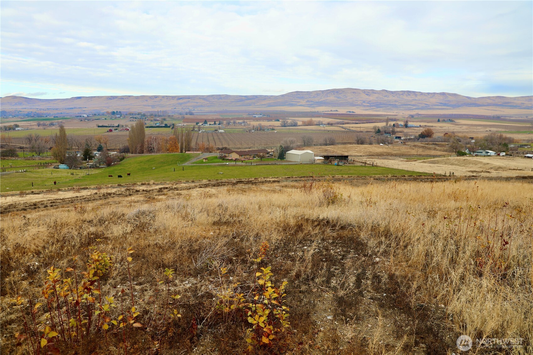 -nka Desmarais Road Moxee, WA 98936 - Photo 6 of 7 a view of an outdoor space and mountain view