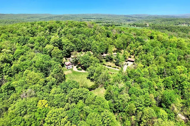 a view of a lush green field with lots of plants in it