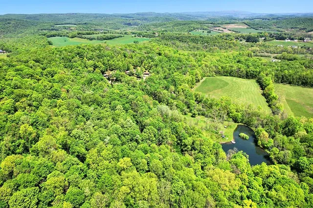 a view of a garden with a pathway