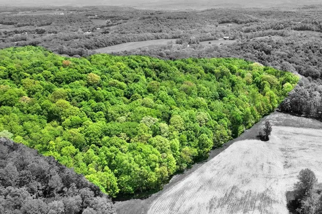 a view of a garden with a building