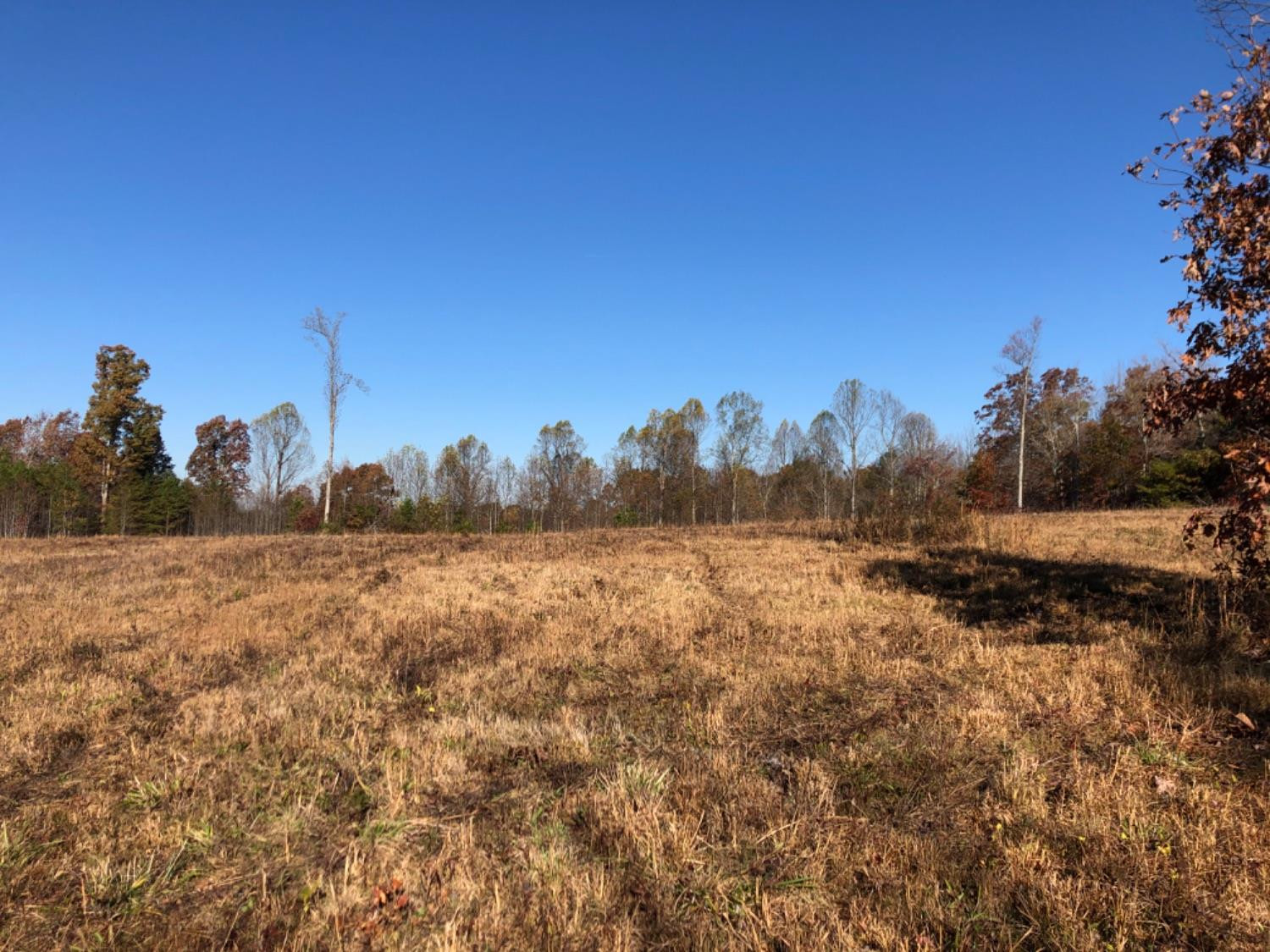 999 Red Davidson Road McKee, KY 40447 - Photo 32 of 45 Photo 32