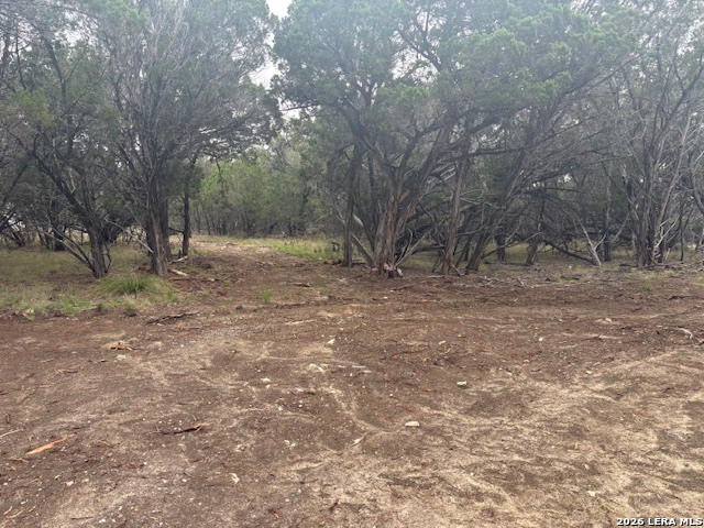 142 Aermotor Lane Boerne, TX 78006 - Photo 3 of 9