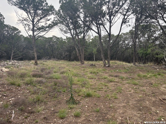 142 Aermotor Lane Boerne, TX 78006 - Photo 5 of 9