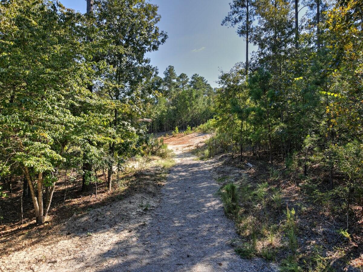 Lot 7 Anderson Pond Road Wagener, SC 29164 - Photo 1 of 7
