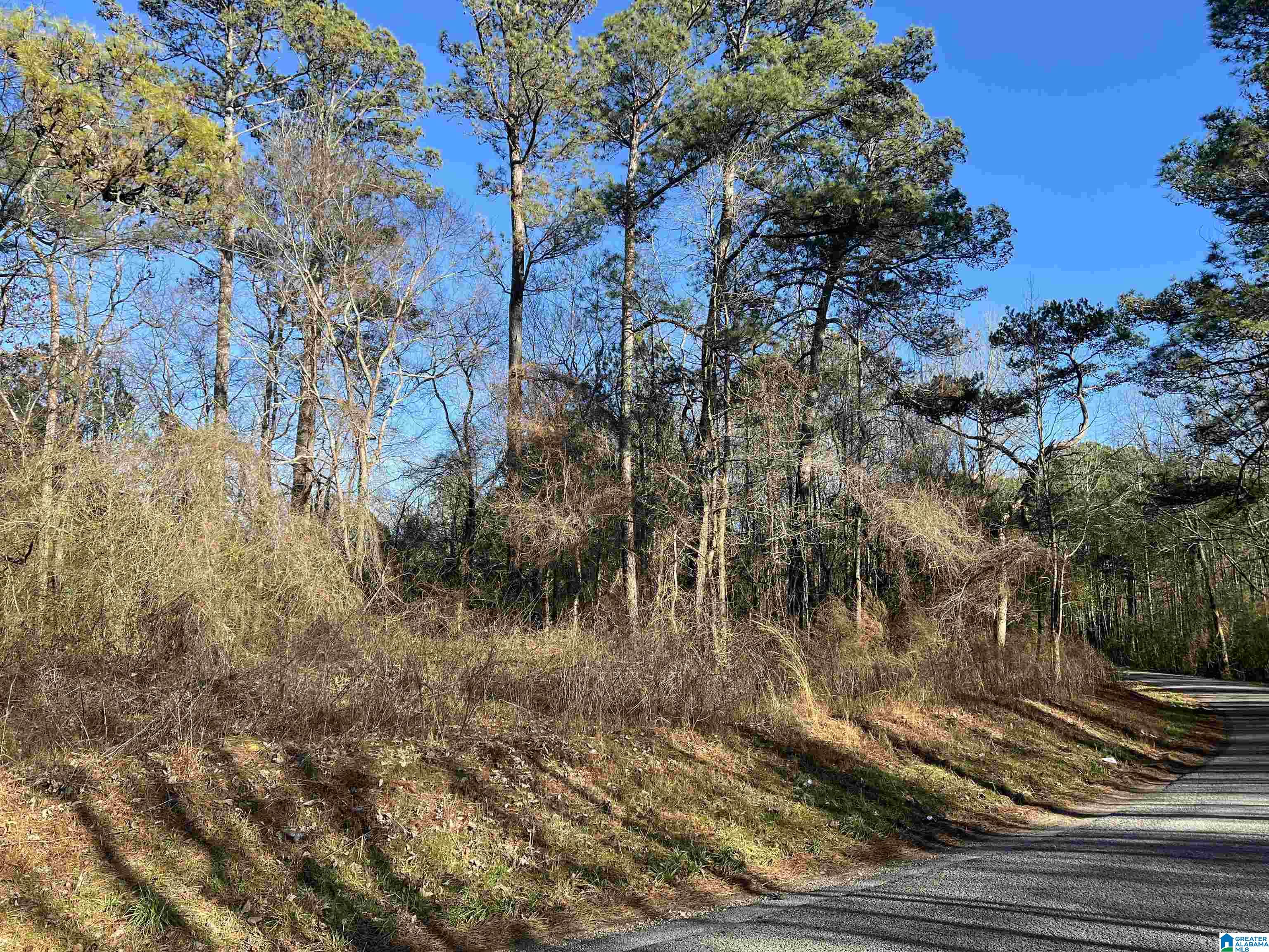 0 Altoona Cutoff Road, Unit 47 5 Oneonta, AL 35121 - Photo 15 of 36