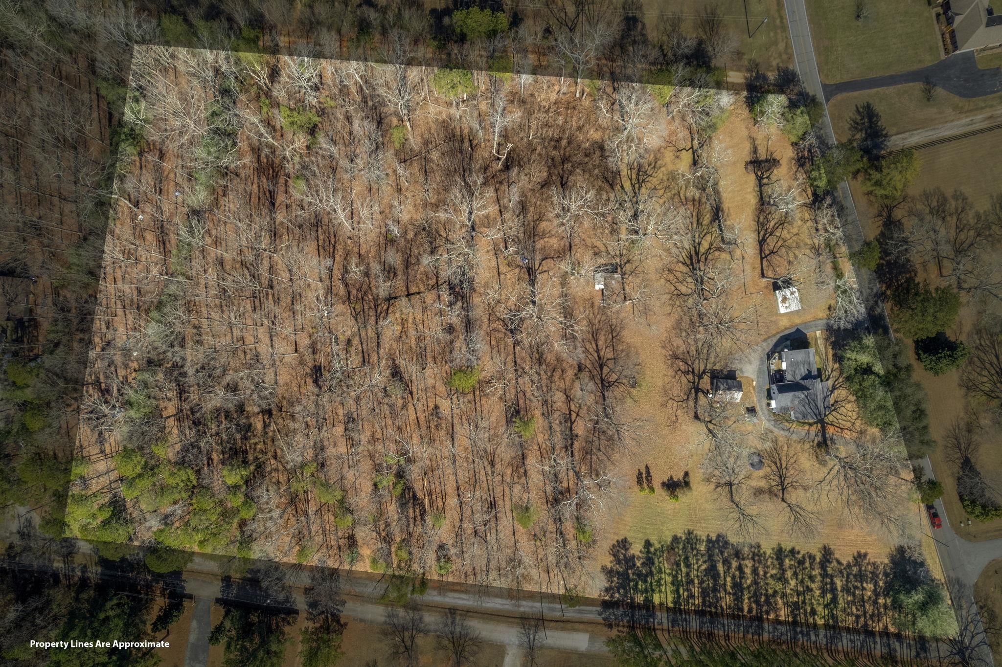 361 Mason Road Boiling Springs, SC 29316 - Photo 34 of 35